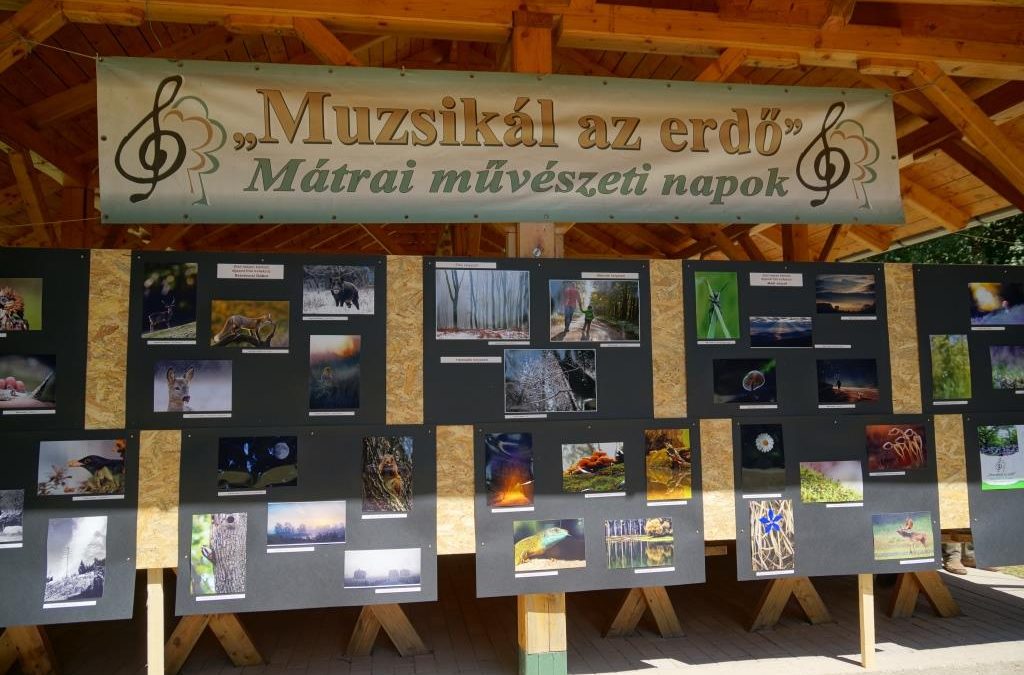 Megjelentek a „Muzsikál az erdő” 2018-as pályázatai