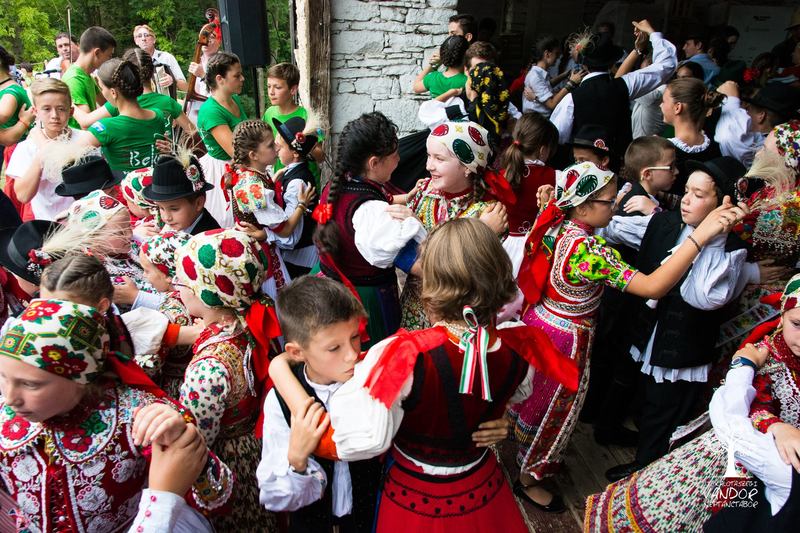 Tiszta forrás – Jelentkezés határon túli táborban való részvételre